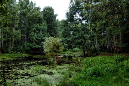 Pyatnickoe autostrăzi clădiri noi de-a lungul drumului verde