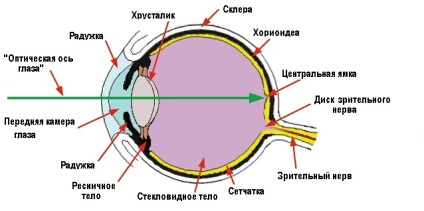Refracția ochiului - structura și funcția, diagnosticul și boala - site - oftalmologie din Moscova
