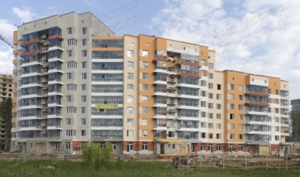 Repararea apartamentelor din pădurea verde