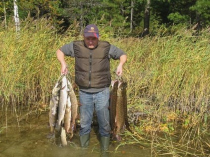 Horgászat a Tomsk régióban díj ellenében
