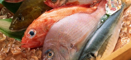 Proprietati de pește utile și contraindicații