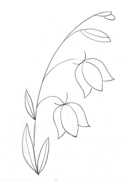Desenați o vază pas cu pas pentru copii - cum să desenați o vază de flori - să faceți lecții pentru copii de la 5 ani