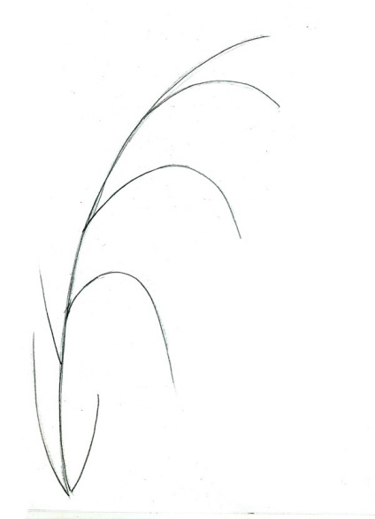 Desenați o vază pas cu pas pentru copii - cum să desenați o vază de flori - să faceți lecții pentru copii de la 5 ani