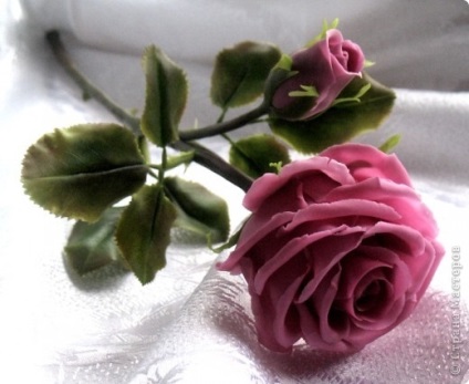 Trandafiri din porțelan rece, cum se fac mucegaiuri și alte utilități pentru modelare