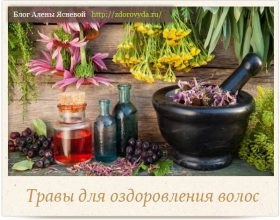 Secretele frumusetii si sanatatii prin natura - Blonda alyona blog