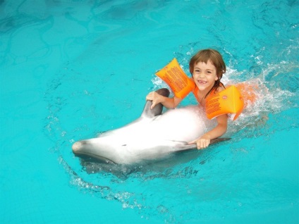 Sevastopol Dolphinarium în Golful Cossack (Crimeea) descriere, fotografie, cum să obțineți, istoric