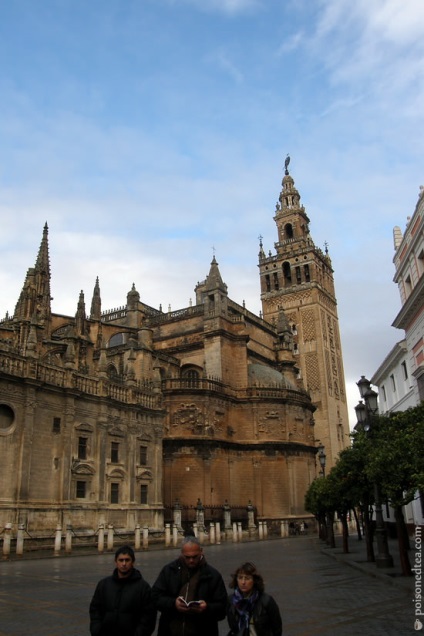 Sevilla - ceai otrăvit