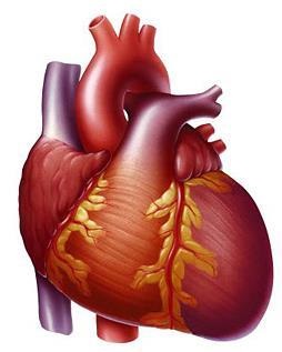 Simptomele și tratamentul insuficienței cardiace cronice