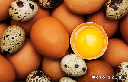 Cât durează să gătești ouăle, baza pentru a răspunde la orice întrebări?
