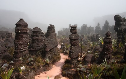 Table Mountain Roraima Venezuela (20 fotók)