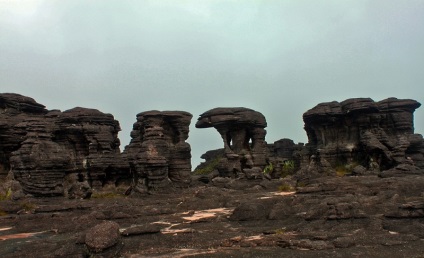 Table Mountain Roraima în Venezuela (20 fotografii)