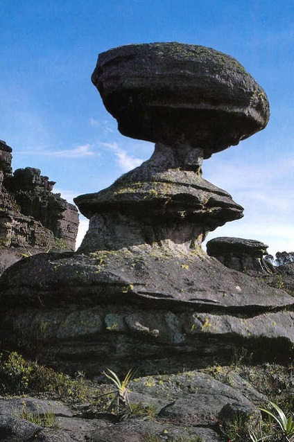 Table Mountain Roraima în Venezuela (20 fotografii)