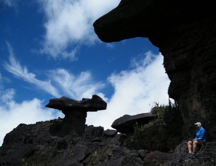 Table Mountain Roraima în Venezuela (20 fotografii)