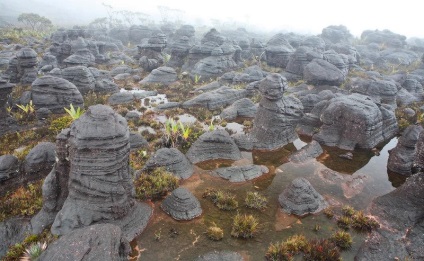 Table Mountain Roraima în Venezuela (20 fotografii)