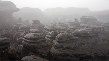 Table Mountain Roraima în Venezuela (20 fotografii)