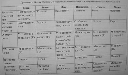 Terapia Su-jok - teoria a 5 elemente primare și 6 energii, terapia cu culori, terapia cu semințe