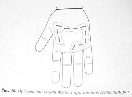 Су-джок терапія - теорія 5 першоелементів і 6 енергій, кольоротерапія, семянотерапия