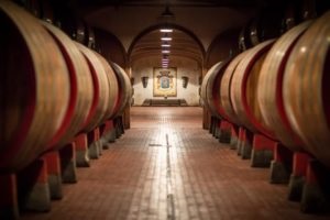 Ceremonia de nunta la podgoriile Chablis - inregistrare in aer liber in natura