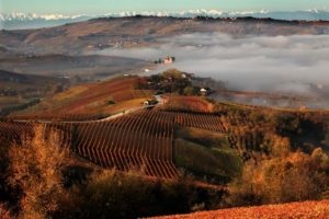 Ceremonia de nunta la podgoriile Chablis - inregistrare in aer liber in natura