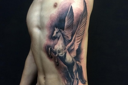 Tattoo Pegasus - bară pentru fotografii - tatuaj studio