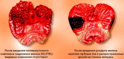 Siguranța terapeutică a preparatului maltofer