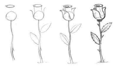 Învățați cum să desenați o platformă de trandafiri, de conținut