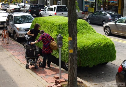 Vehicule uimitoare acoperite cu iarbă - mașini neobișnuite