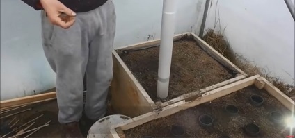 O modalitate unică de a crește un morcov lung și suculent