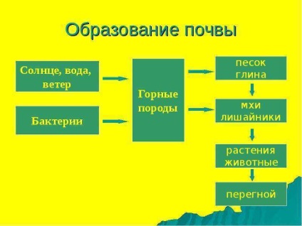 O lecție pe tema laboratorului