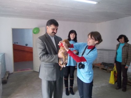 O casă pentru animale fără adăpost a apărut în Artemovsk