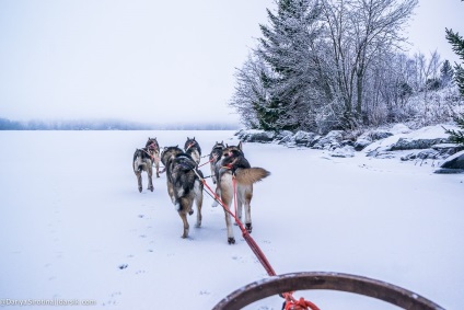 Vizitează Husky • travel darsik - stil de viață