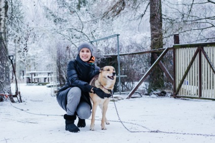 Vizitează Husky • travel darsik - stil de viață