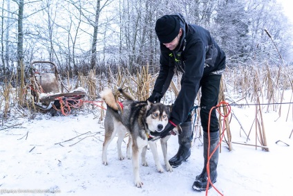 Vizitează Husky • travel darsik - stil de viață