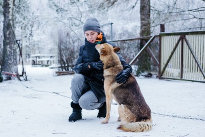 Vizitează Husky • travel darsik - stil de viață