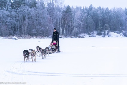 Vizitează Husky • travel darsik - stil de viață