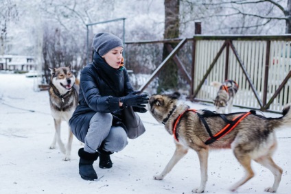 Vizitează Husky • travel darsik - stil de viață