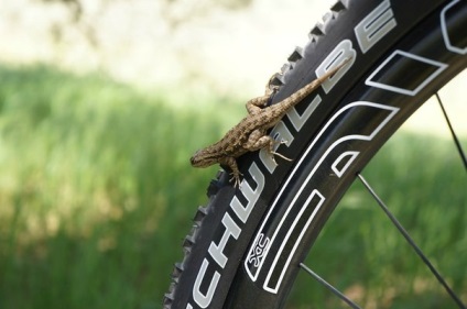 Alegerea pneurilor mtb - bloguri, bicicleta
