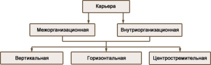 Tipuri și modele de modele de kaoyiers