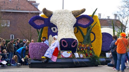 Expoziție de flori în Olanda