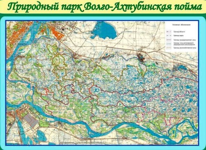 Lunca inundațiilor de la Volgo-akhtuba - Rusia - planeta pământ