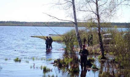 Volojarvi - un lac din regiunea Leningrad