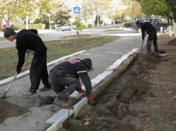 Există o recoltă de porumb zahăr în raionul Slobozia, știri despre Transnistria