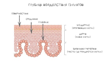 Preturile chimice peeling fata pentru procedura de la Moscova si Sankt-Petersburg, clinica 