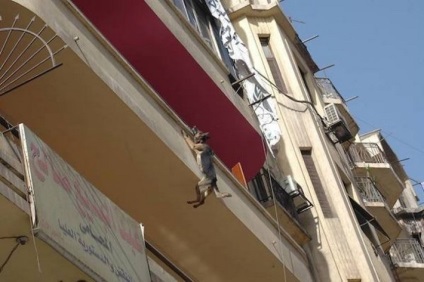 Proprietarul a spânzurat câinele de la balcon la lanț