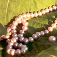 Perle ca un remediu pentru antichitate până în prezent