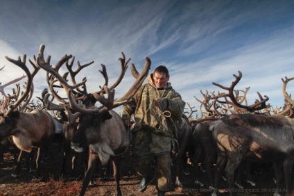 Viața și viața în permafrostul din Yamal