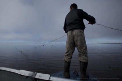 Viața și viața în permafrostul din Yamal