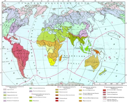 Zonarea zoogeografică este