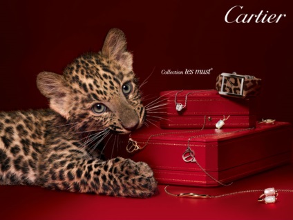 10 Cartier Fapte de decorare