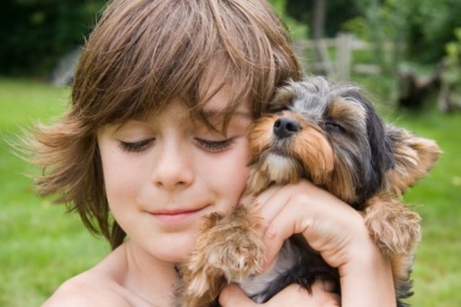 15 Lucruri pe care oamenii le pot învăța de la câini